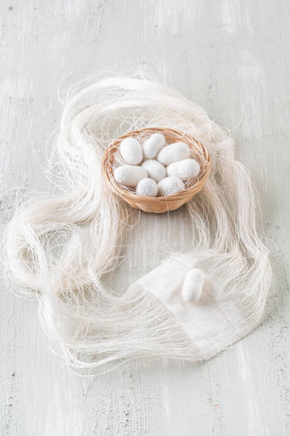 istock natural silkworm cocoons are source of silk thread, textile 1251718440