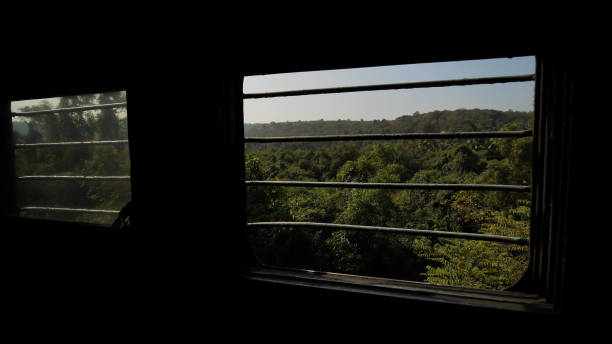 istock Windows with bars of an indian train 1251719561