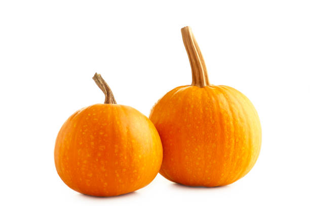 istock Fresh orange pumpkins isolated on white background 1251719859