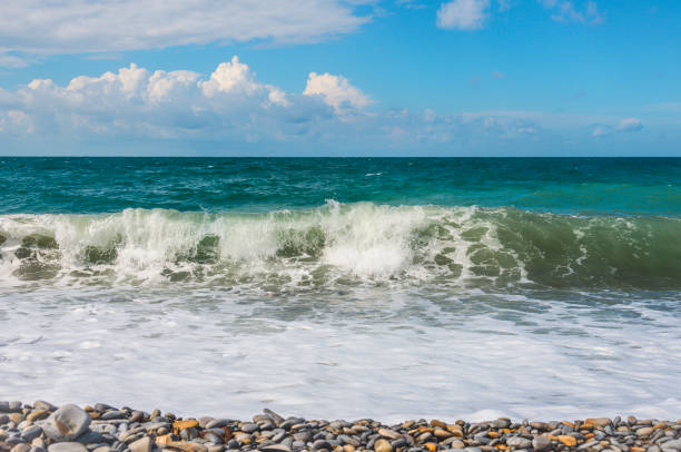 istock Coast of the Black Sea 1251723904