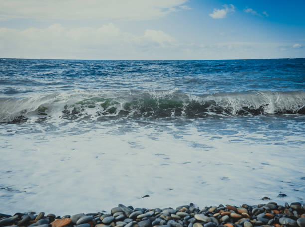 Coast of the Black Sea
