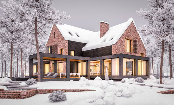 istock 3d rendering of modern clinker house on the ponds with pool in evening night 1251725910