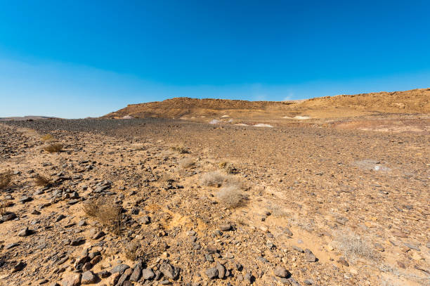 istock Whimsical Patterns of the Desert 1251726900
