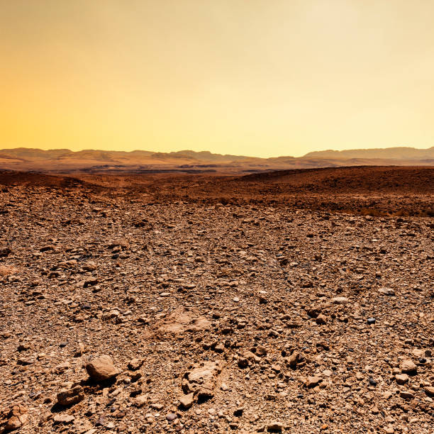 istock Fantastic sunrise in the desert. 1251726994