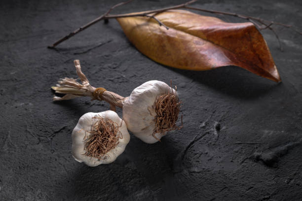 istock Garlic concept on stone floor 1251727848