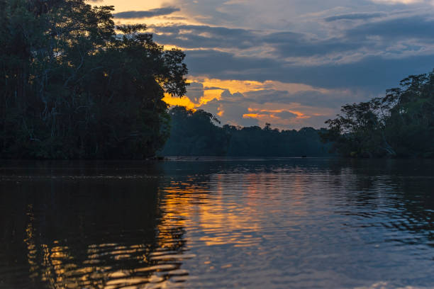 istock Yasuni national park sunset, Ecuador 1251728144