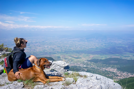 Girl with a Rhodesian ridgeback dog in the mountains. summer mood. Traveling with a pet. Love animals love my pet