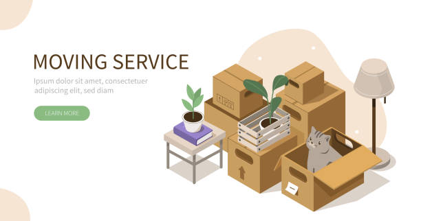 ilustrações de stock, clip art, desenhos animados e ícones de moving service - cat box