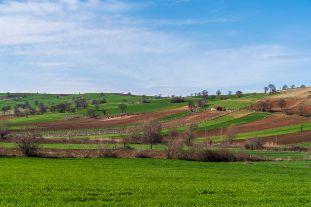 istock Beautiful fields landscape, Turk village 1251729946