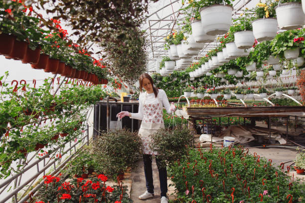 istock Flower nursery 1251736901