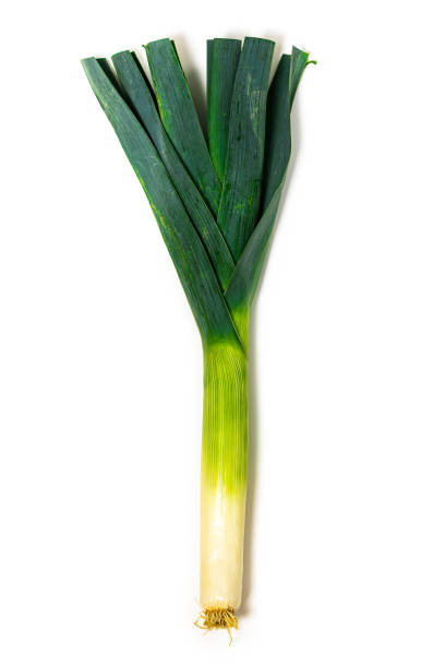 istock Leek Green Onion Isolated 1251738509