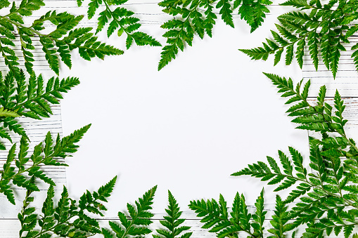 Green Fern Leaves or Leather Leaf on White Vintage Wooden Background with Sheet of Paper. Design concept for mothers day, wedding and valentines day with copy space. Selective focus.