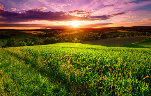 Sunset scenery on a green field with forests and hills on the horizon and the sky painted in gorgeous dramatic and emotional colors