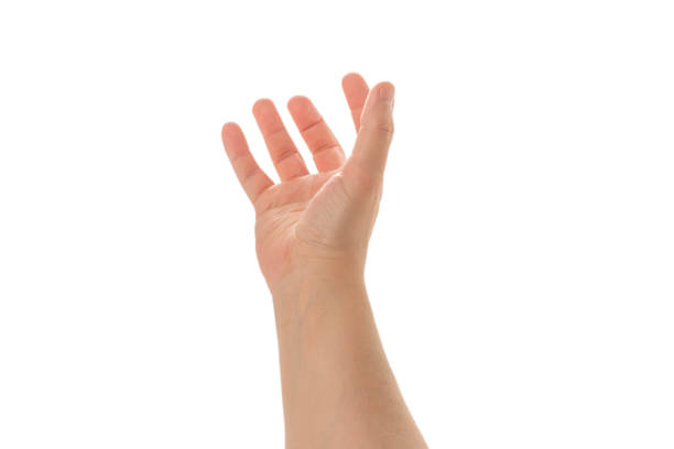 istock Male hand isolated on white. 1251742149