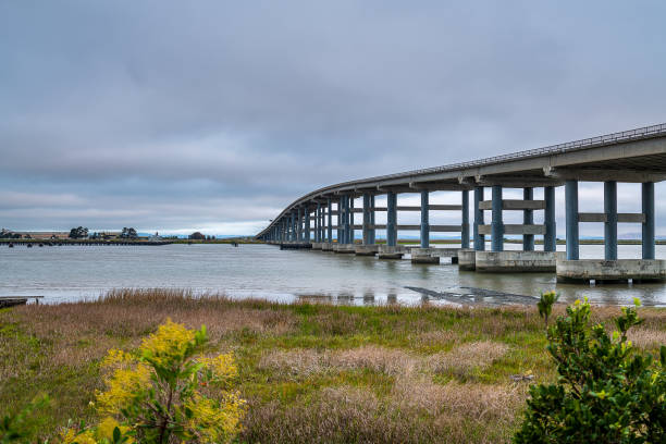 istock Morning views from the Vallejo Municipal Pier 1251742299