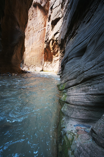 A hiker enjoying the view of The Narrows rugged walls in Zion canyon, in the Zion National Park