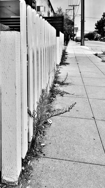 ピケットフェンスと歩道 - 減少する視点 / 白黒 - disappearing nature vertical florida ストックフォトと画像