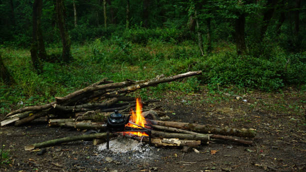 istock Steep tea on campfire in forest, Camping in nature 1251772754