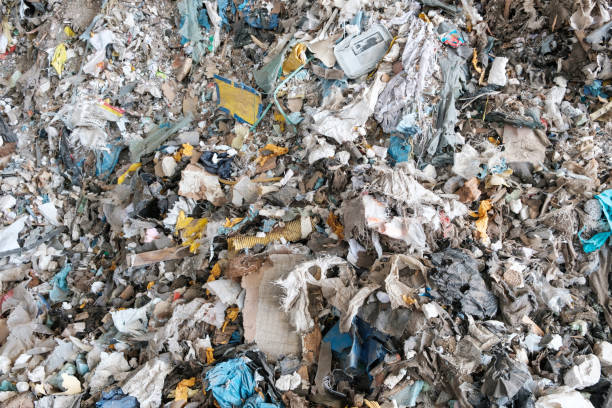 istock trash closeup, plastic waste and garbage in disposable landfill - 1251773328