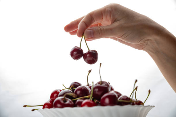 istock Isolated young woman holding a some cherries in her hands 1251775314