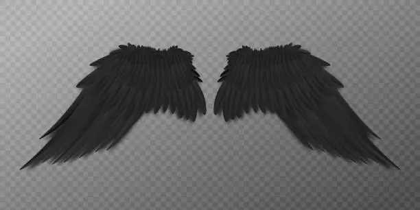 Vector illustration of Black bird or dark agel wings with realistic feathers from back view