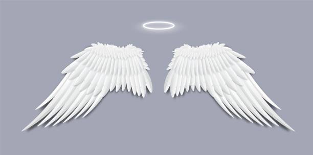 istock Angels white feather wings with halo, realistic vector illustration isolated. 1251781923