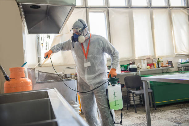 istock Professional disinfectant , sprays disinfectants in restaurant kitchen 1251792777