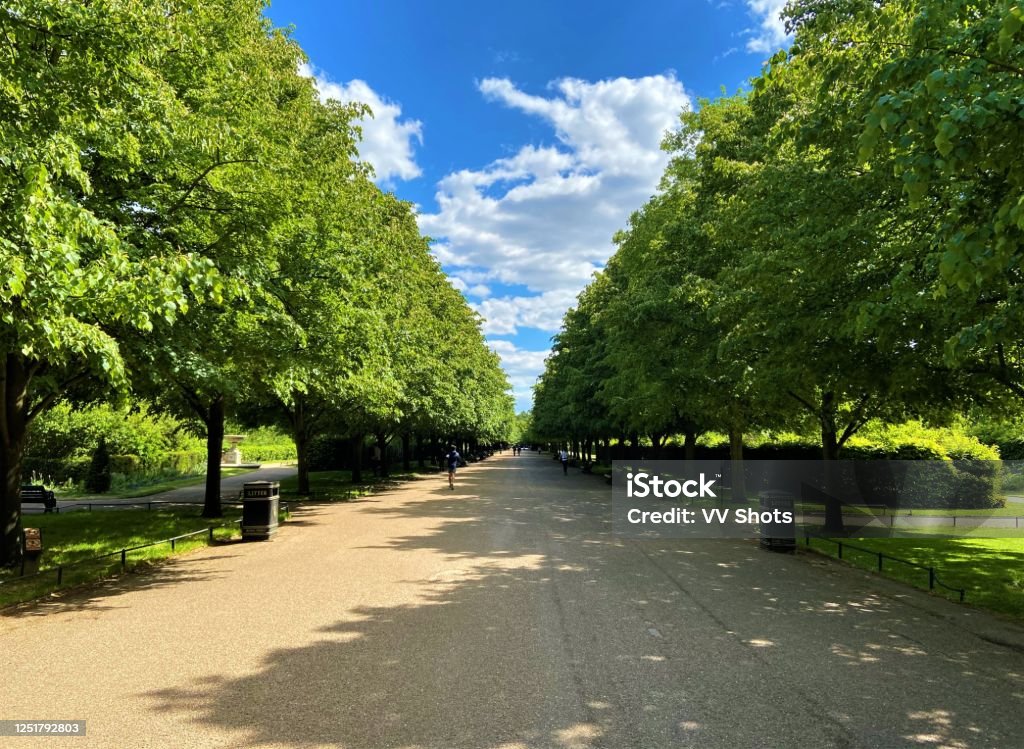 Regent’s Park, London Tree-lined road in Regent’s Park, London London - England Stock Photo