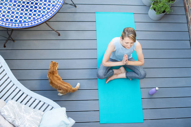 vista aérea de la mujer madura con gato mascota en casa meditando con yoga en la cubierta - domestic cat city life animal pets fotografías e imágenes de stock