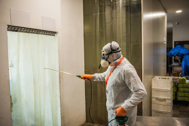 istock Professional disinfectant , sprays disinfectants in restaurant kitchen 1251794453
