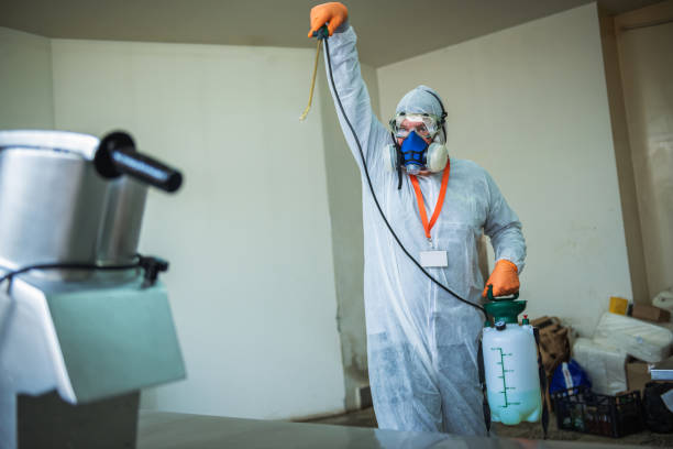 istock Professional disinfectant , sprays disinfectants in restaurant kitchen 1251794457