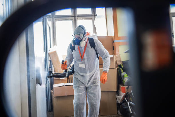 istock Profesional disinfector , sprays disinfectants 1251795182