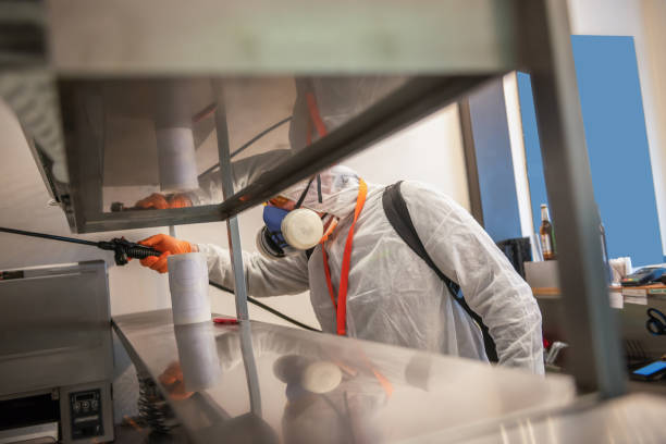 istock Man in protective suit disinfecting and spraying workplace 1251795192