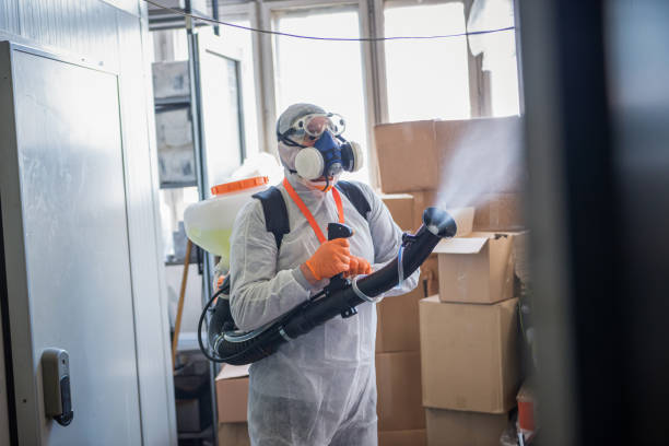istock Profesional disinfector , sprays disinfectants 1251795327