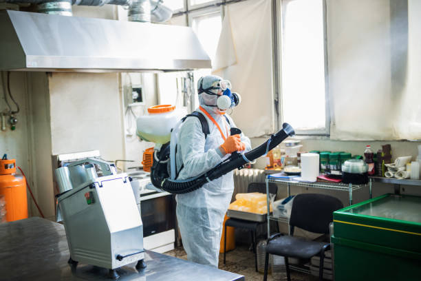 istock Man in protective suit disinfecting and spraying restaurant kitchen 1251795332