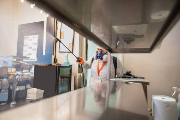 istock Man in protective suit disinfecting and spraying workplace 1251795533