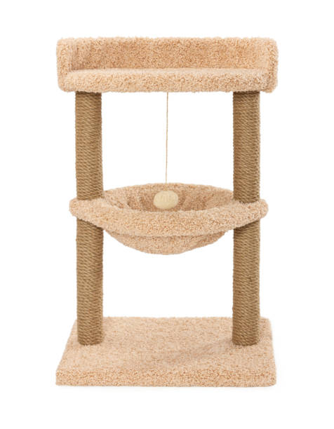 istock Cat scratching play complex with two poles isolated on white 1251795698