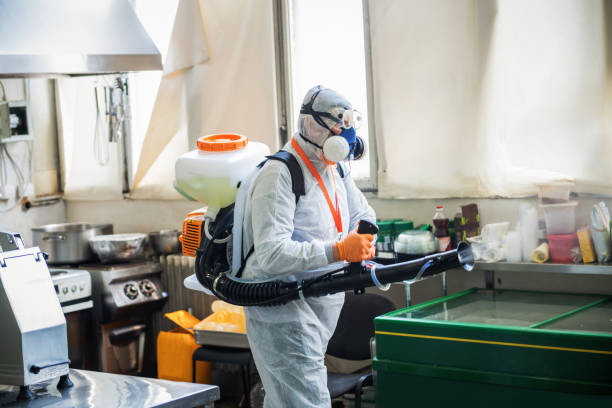 istock Man in protective suit disinfecting and spraying restaurant kitchen 1251795790