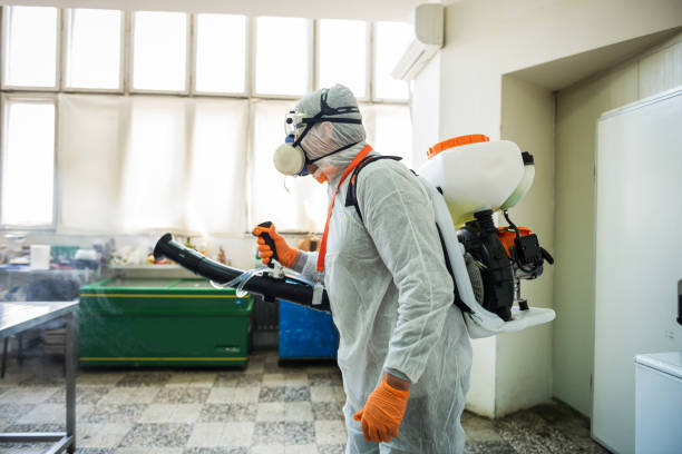 istock Man in protective suit disinfecting and spraying restaurant kitchen 1251795797