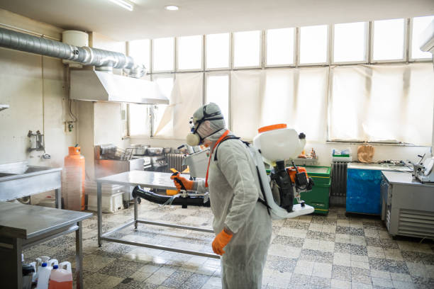 istock Man in protective suit disinfecting and spraying restaurant kitchen 1251795858