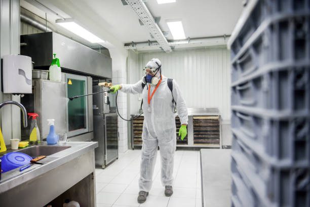 istock Man in protective suit disinfecting and spraying bakery kitchen 1251796015