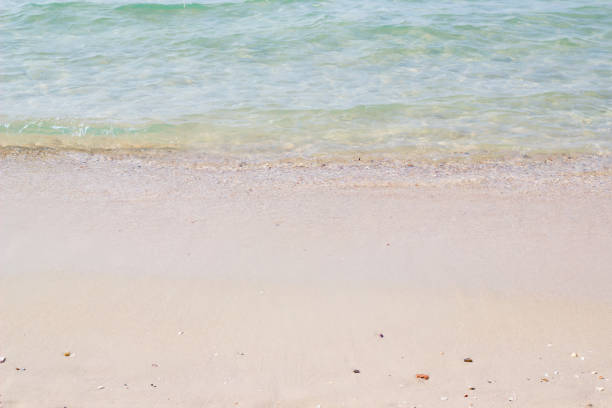 istock Sandy beach and blue sea in summer 1251797595