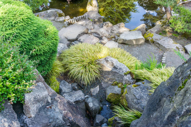 istock Garden Rocks And Plants 1251816462