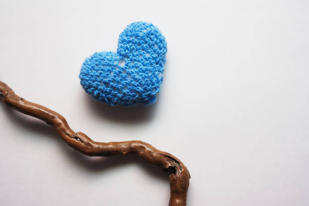 Blue knitted heart and dried varnished tree branch on a light gray background with copy space. Happy Valentine's Day.