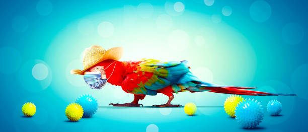 istock Macaw parrot with medical mask on vacation 1251852554