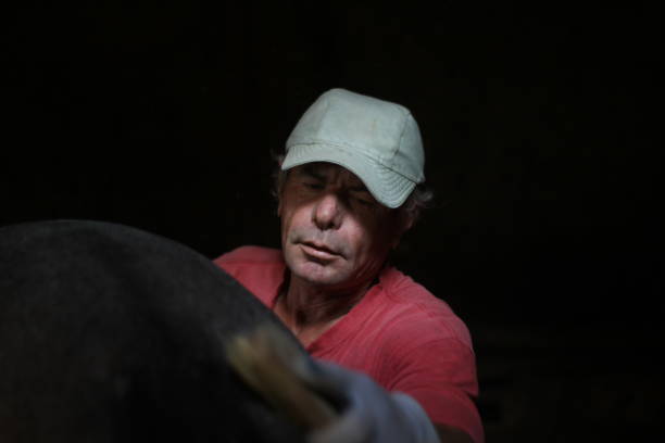 istock Man clean his horse 1251878891