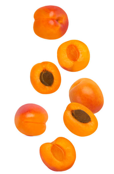 Flowing apricot fruits isolated on white background with shallow depth of field stock photo