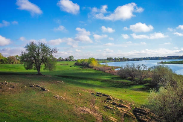 Green grass, blue lake, white puffy clouds in the sky make it a beautiful spring day in Loveland, Colorado
