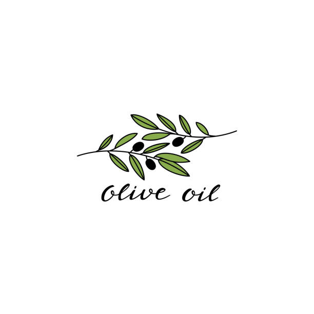 stockillustraties, clipart, cartoons en iconen met twee olijftakken met zwarte olijven. ontwerp voor olijfolieverpakkingen - olijfblad
