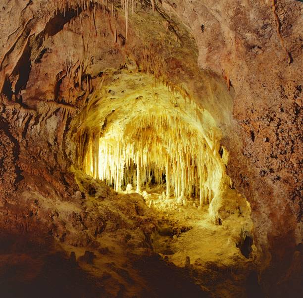istock Illuminated cave located in the Carlsbad Caverns in New Mexico 1251922134